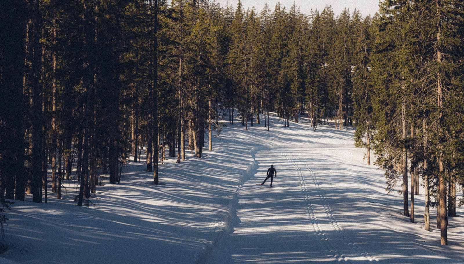 Snowshoes & Cross Country Skis