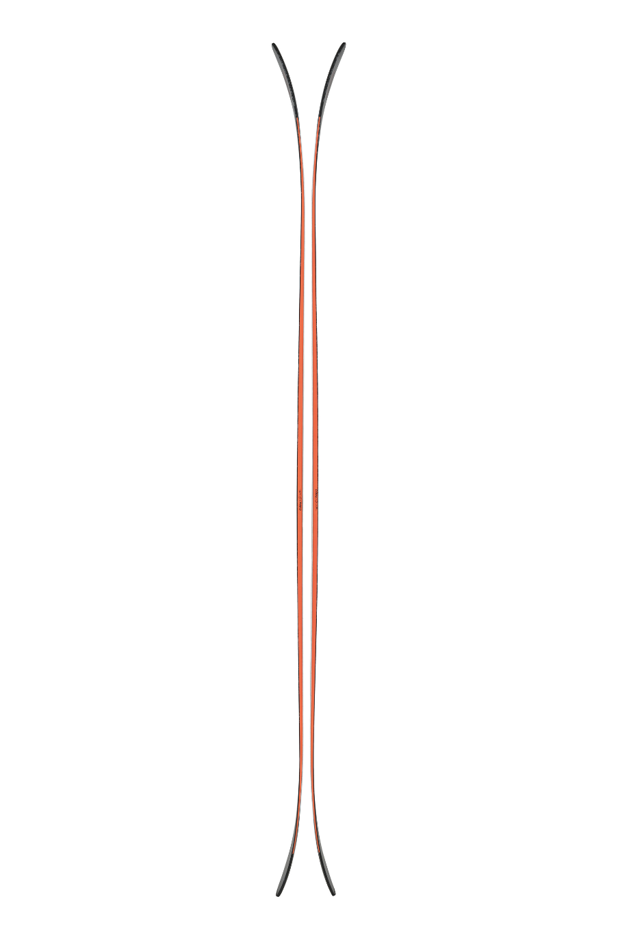 Blizzard Canvas 100 [2027]