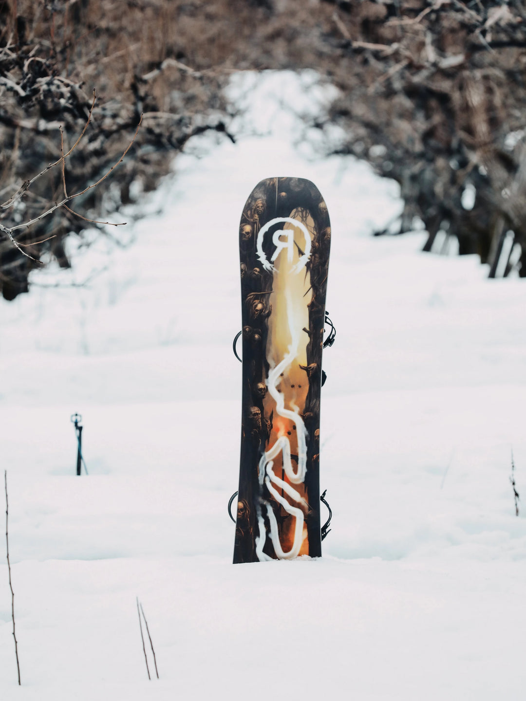 Ride Shadowban [2026]